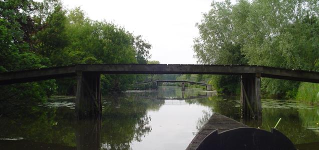 Marais Audomarois, dans le Pas-de-Calais Par Hagen de Merak — Travail personnel, CC BY-SA 2.5, https://commons.wikimedia.org